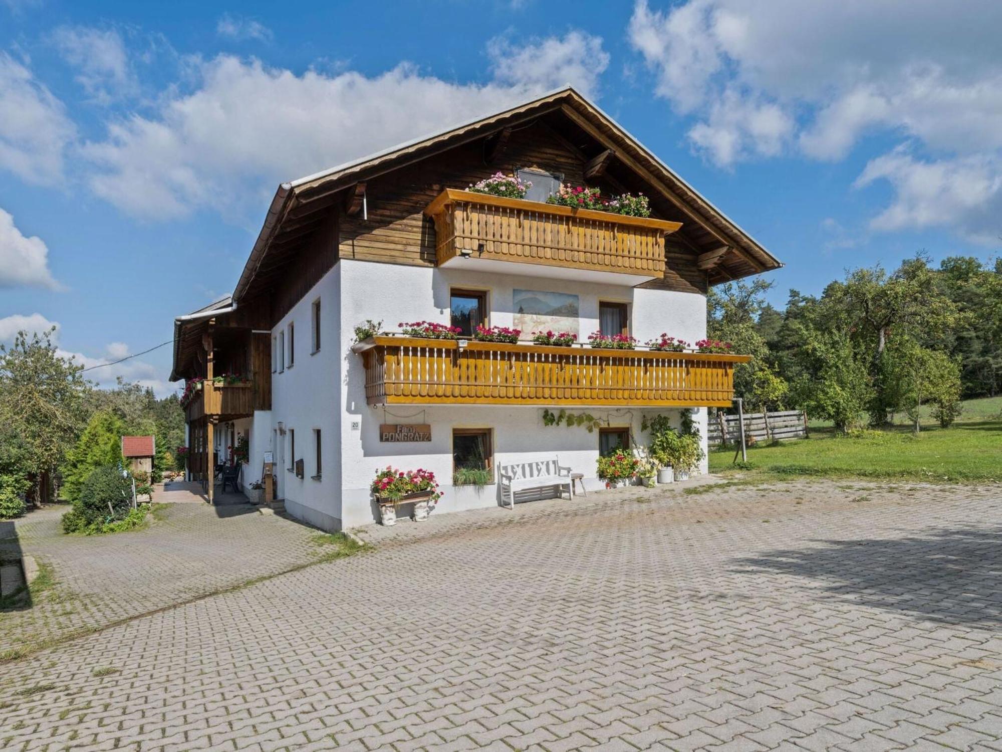 Apartment On A Farm Near The Ski Area Neukirchen beim Heiligen Blut Exterior foto